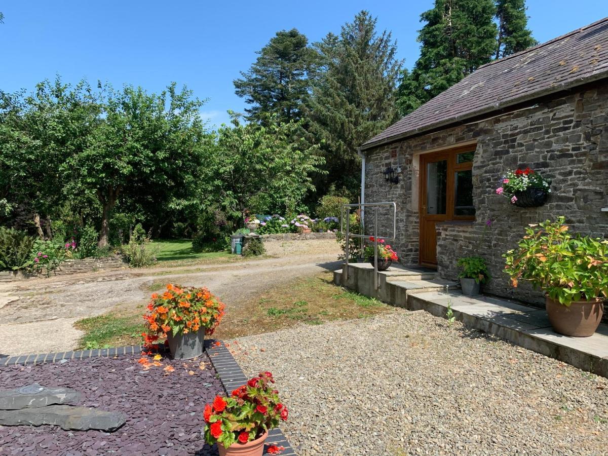 Parc Farm B&B Llanarth  ภายนอก รูปภาพ