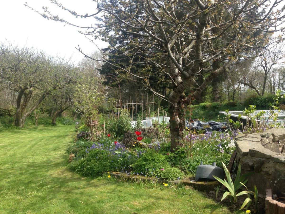 Parc Farm B&B Llanarth  ภายนอก รูปภาพ