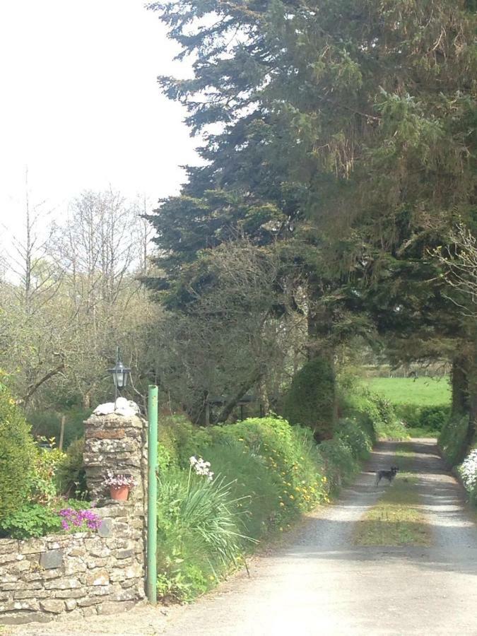 Parc Farm B&B Llanarth  ภายนอก รูปภาพ